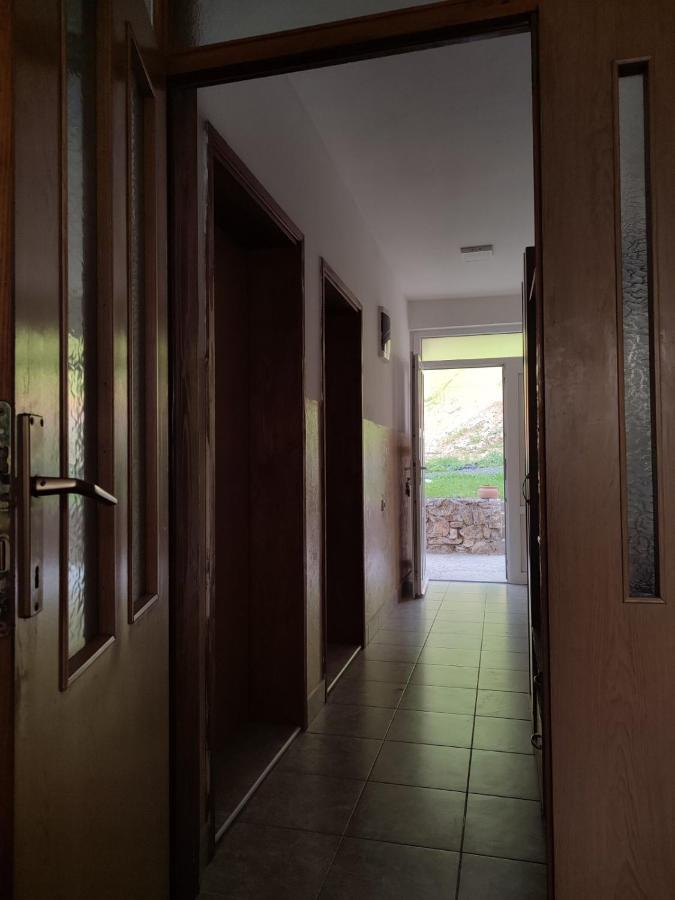 Apartment Pantovic Pluzine Luaran gambar